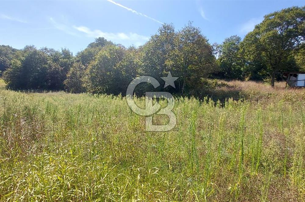 Kaynarca/Şeyhtimari Köyü/ 920 M2/orman kenarı/Satılık Arazi