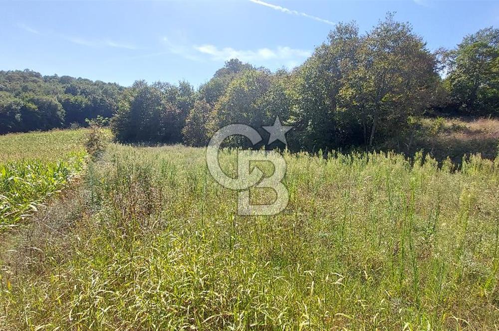 Kaynarca/Şeyhtimari Köyü/ 920 M2/orman kenarı/Satılık Arazi