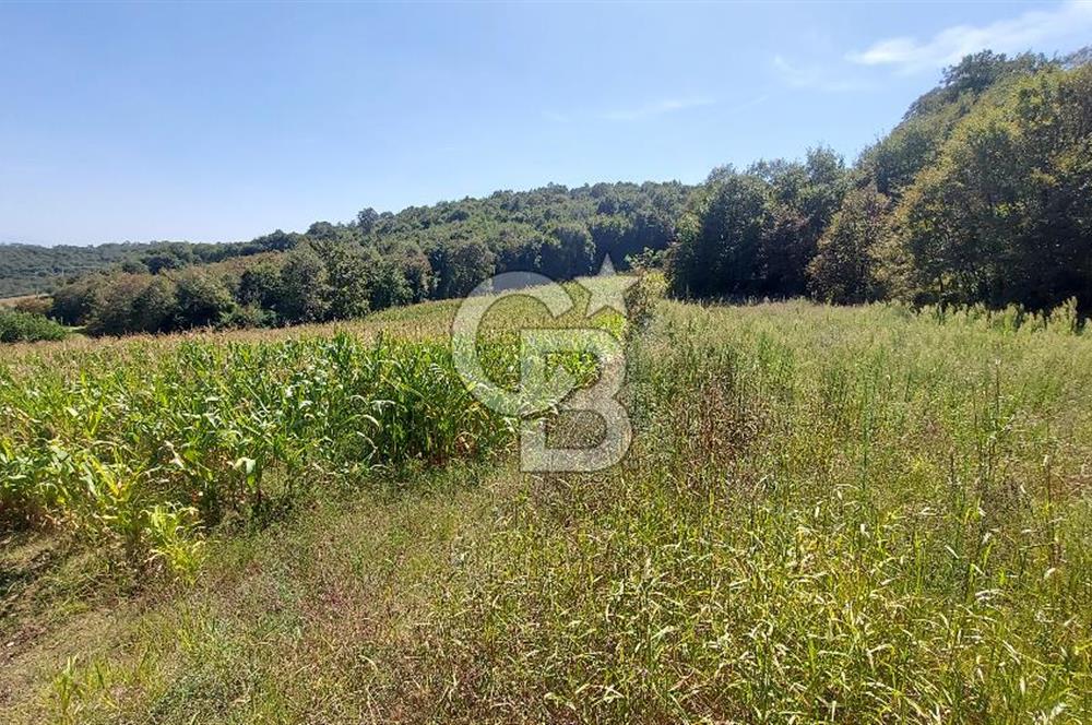 Kaynarca/Şeyhtimari Köyü/ 920 M2/orman kenarı/Satılık Arazi