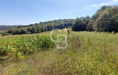 Kaynarca/Şeyhtimari Köyü/ 920 M2/orman kenarı/Satılık Arazi