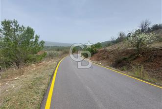 Taraklı-Hacıaliler Köyünde Satılık 3346 M2 Tarla