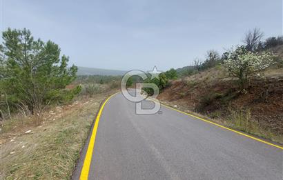 Taraklı-Hacıaliler Köyünde Satılık 3346 M2 Tarla