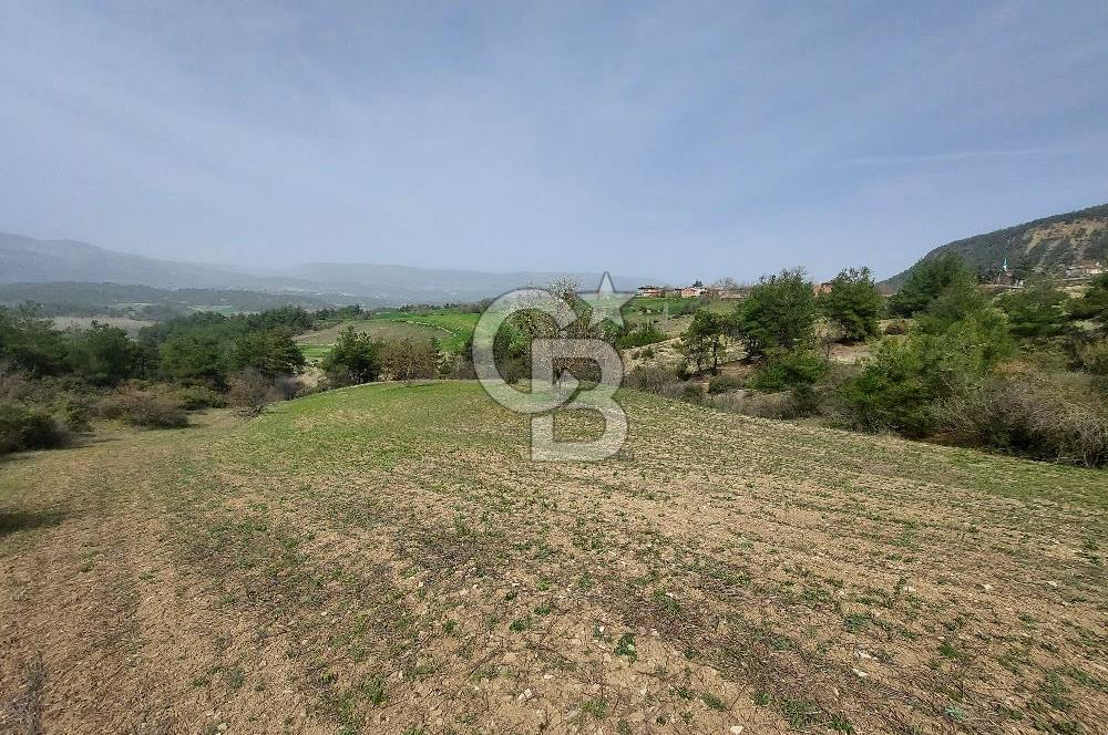 Bolu/Göynük/Ekincilerde Köy Girişinde Satılık 2593 M2 Tarla