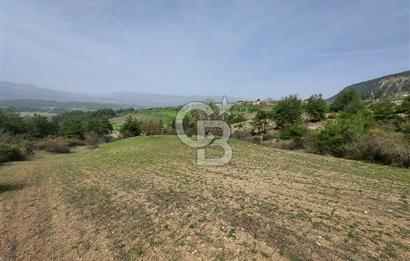 Bolu/Göynük/Ekincilerde Köy Girişinde Satılık 2593 M2 Tarla
