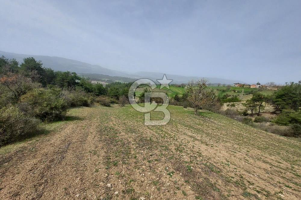 Bolu/Göynük/Ekincilerde Köy Girişinde Satılık 2593 M2 Tarla