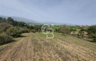 Bolu/Göynük/Ekincilerde Köy Girişinde Satılık 2593 M2 Tarla
