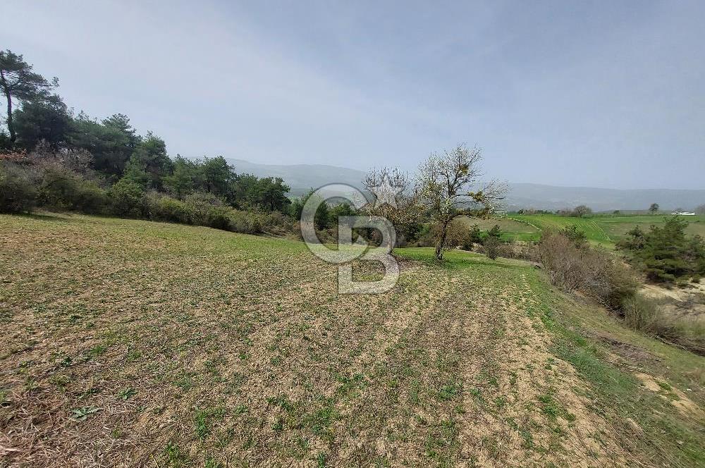Bolu/Göynük/Ekincilerde Köy Girişinde Satılık 2593 M2 Tarla
