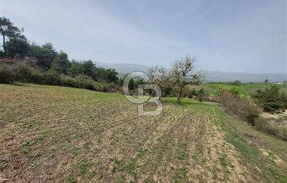 Bolu/Göynük/Ekincilerde Köy Girişinde Satılık 2593 M2 Tarla