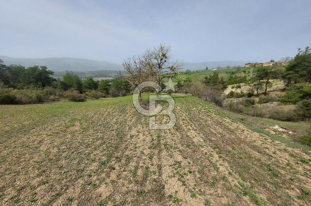 Bolu/Göynük/Ekincilerde Köy Girişinde Satılık 2593 M2 Tarla