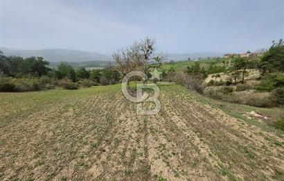Bolu/Göynük/Ekincilerde Köy Girişinde Satılık 2593 M2 Tarla
