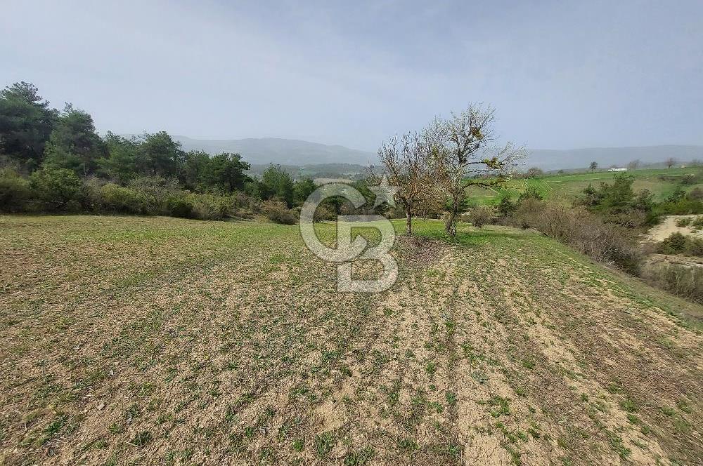 Bolu/Göynük/Ekincilerde Köy Girişinde Satılık 2593 M2 Tarla