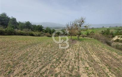 Bolu/Göynük/Ekincilerde Köy Girişinde Satılık 2593 M2 Tarla