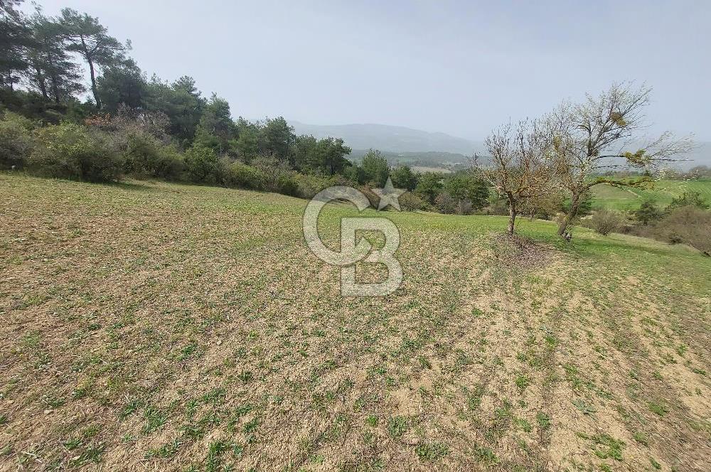 Bolu/Göynük/Ekincilerde Köy Girişinde Satılık 2593 M2 Tarla