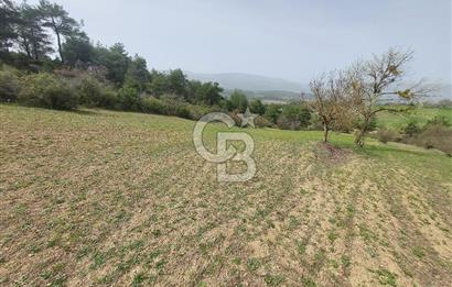 Bolu/Göynük/Ekincilerde Köy Girişinde Satılık 2593 M2 Tarla