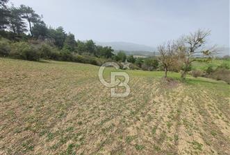 Bolu/Göynük/Ekincilerde Köy Girişinde Satılık 2593 M2 Tarla