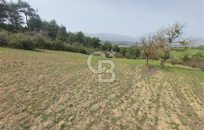Bolu/Göynük/Ekincilerde Köy Girişinde Satılık 2593 M2 Tarla