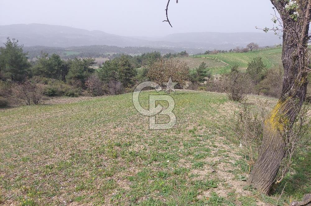 Bolu/Göynük/Ekincilerde Köy Girişinde Satılık 2593 M2 Tarla
