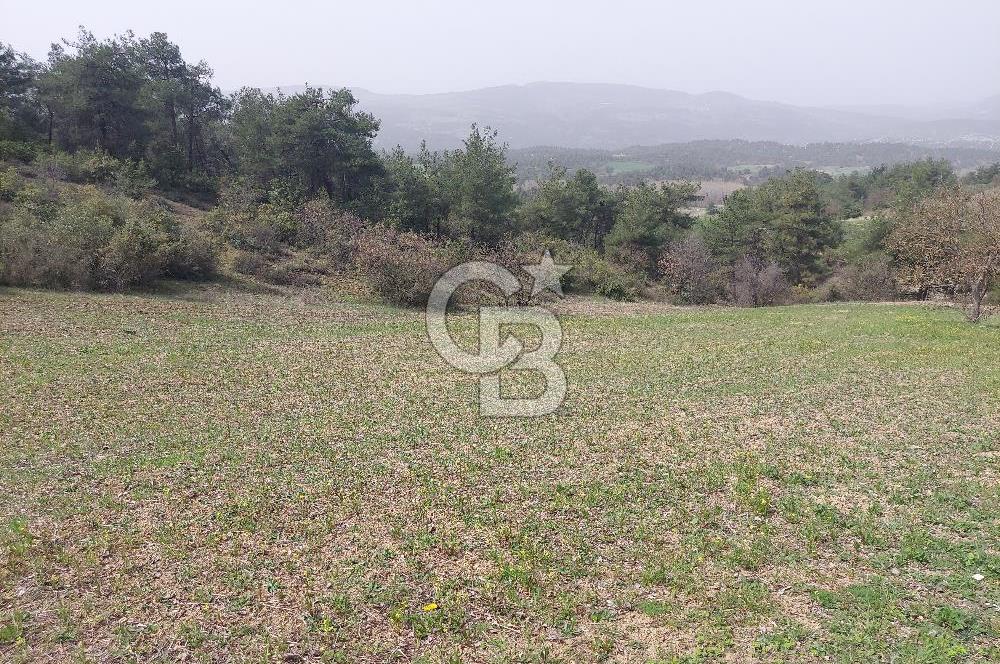 Bolu/Göynük/Ekincilerde Köy Girişinde Satılık 2593 M2 Tarla