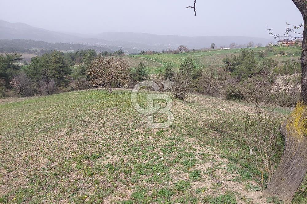 Bolu/Göynük/Ekincilerde Köy Girişinde Satılık 2593 M2 Tarla