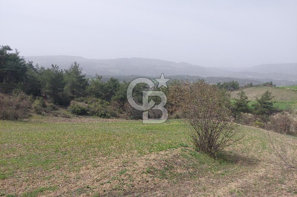 Bolu/Göynük/Ekincilerde Köy Girişinde Satılık 2593 M2 Tarla
