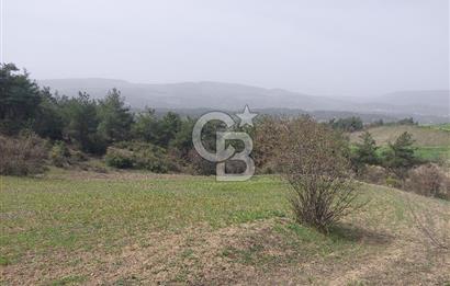 Bolu/Göynük/Ekincilerde Köy Girişinde Satılık 2593 M2 Tarla