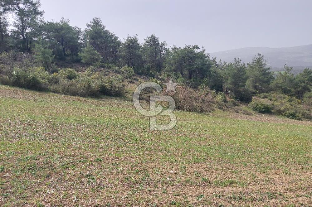 Bolu/Göynük/Ekincilerde Köy Girişinde Satılık 2593 M2 Tarla