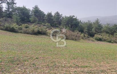 Bolu/Göynük/Ekincilerde Köy Girişinde Satılık 2593 M2 Tarla