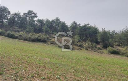 Bolu/Göynük/Ekincilerde Köy Girişinde Satılık 2593 M2 Tarla