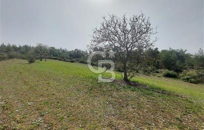 Bolu/Göynük/Ekincilerde Köy Girişinde Satılık 2593 M2 Tarla