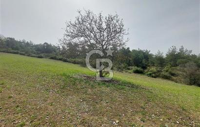 Bolu/Göynük/Ekincilerde Köy Girişinde Satılık 2593 M2 Tarla