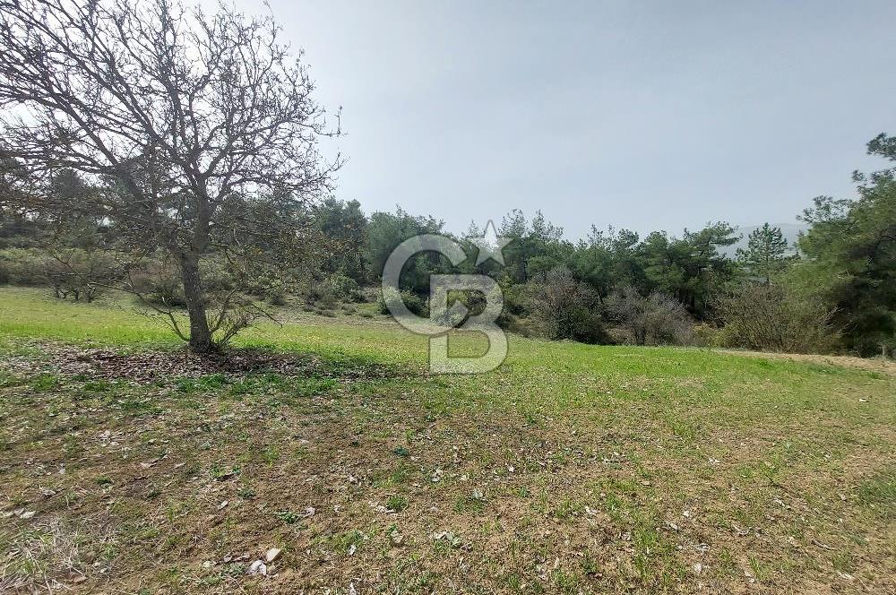 Bolu/Göynük/Ekincilerde Köy Girişinde Satılık 2593 M2 Tarla