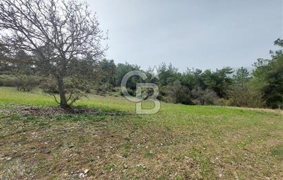 Bolu/Göynük/Ekincilerde Köy Girişinde Satılık 2593 M2 Tarla