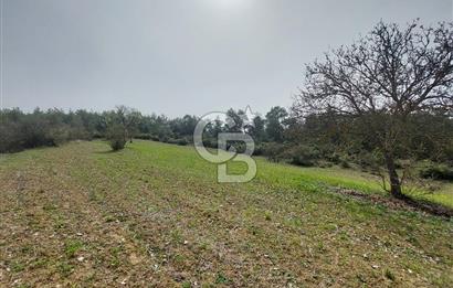 Bolu/Göynük/Ekincilerde Köy Girişinde Satılık 2593 M2 Tarla
