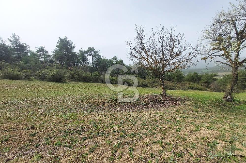 Bolu/Göynük/Ekincilerde Köy Girişinde Satılık 2593 M2 Tarla
