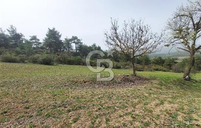 Bolu/Göynük/Ekincilerde Köy Girişinde Satılık 2593 M2 Tarla