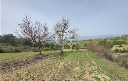 Bolu/Göynük/Ekincilerde Köy Girişinde Satılık 2593 M2 Tarla