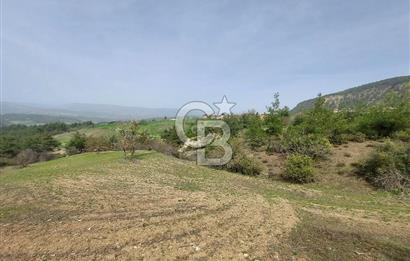 Bolu/Göynük/Ekincilerde Köy Girişinde Satılık 2593 M2 Tarla