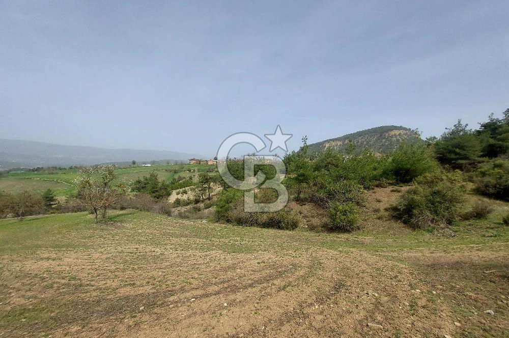 Bolu/Göynük/Ekincilerde Köy Girişinde Satılık 2593 M2 Tarla