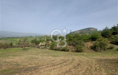Bolu/Göynük/Ekincilerde Köy Girişinde Satılık 2593 M2 Tarla
