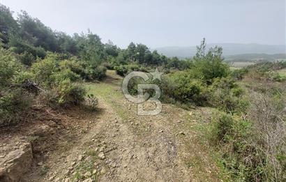 Bolu/Göynük/Ekincilerde Köy Girişinde Satılık 2593 M2 Tarla
