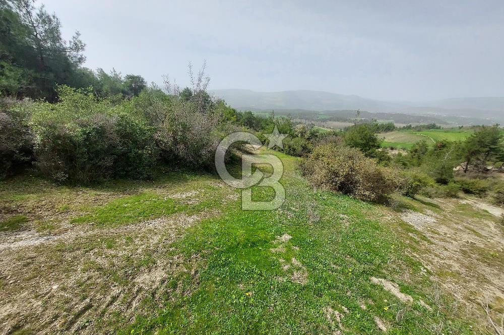 Bolu/Göynük/Ekincilerde Köy Girişinde Satılık 2593 M2 Tarla