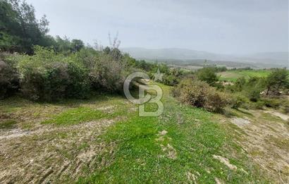 Bolu/Göynük/Ekincilerde Köy Girişinde Satılık 2593 M2 Tarla
