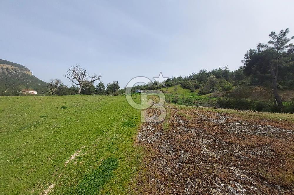 Bolu/Göynük/Ekincilerde Köy Girişinde Satılık 2593 M2 Tarla
