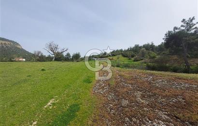 Bolu/Göynük/Ekincilerde Köy Girişinde Satılık 2593 M2 Tarla