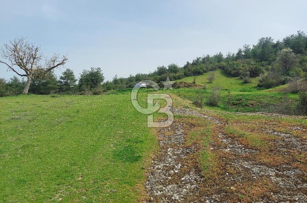 Bolu/Göynük/Ekincilerde Köy Girişinde Satılık 2593 M2 Tarla