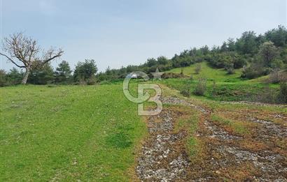 Bolu/Göynük/Ekincilerde Köy Girişinde Satılık 2593 M2 Tarla
