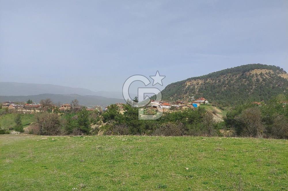 Bolu/Göynük/Ekincilerde Köy Girişinde Satılık 2593 M2 Tarla