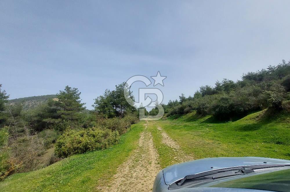 Bolu/Göynük/Ekincilerde Köy Girişinde Satılık 2593 M2 Tarla