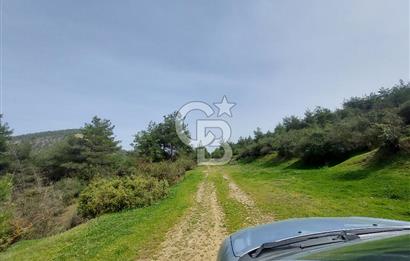Bolu/Göynük/Ekincilerde Köy Girişinde Satılık 2593 M2 Tarla