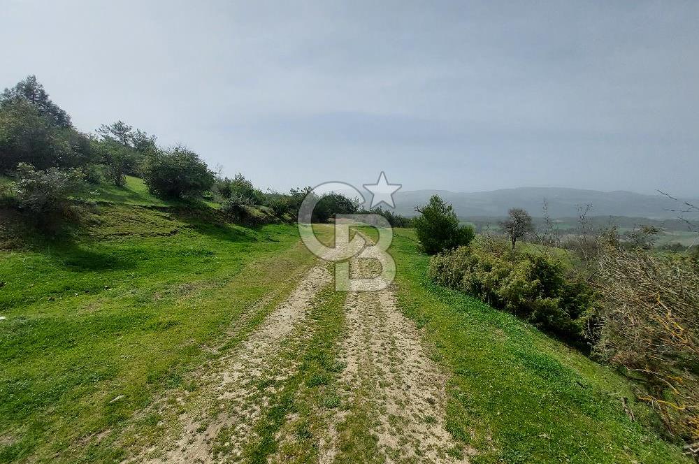 Bolu/Göynük/Ekincilerde Köy Girişinde Satılık 2593 M2 Tarla